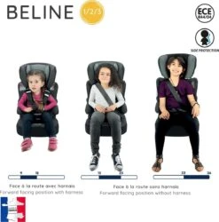 Nania - Autostoel BELINE Animals - Groep 1/2/3 - Meegroeistoel - Van 9 Tot 36 Kg - FLAMINGO -Babyproducten 1187x1200 11