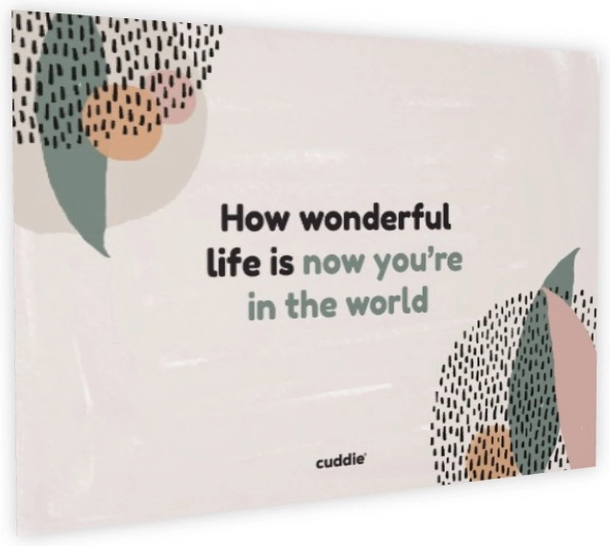 Cuddie Baby Draagdoek - Premium Organic Baby Draagdoek Gemaakt Van Bio Katoen - Newborns Tot 15 Kg - Baby Cadeau - Met Wenskaart - Zwart 9 Cuddie Baby Draagdoek - Premium Organic Baby Draagdoek Gemaakt Van Bio Katoen - Newborns Tot 15 Kg - Baby Cadeau - Met Wenskaart - Zwart - Afbeelding 7