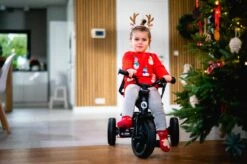 Lionelo Haari - Driewieler - Drankhouder - 2in1 - Tot 36+ -Babyproducten 1200x799 23