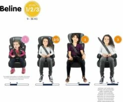 Nania - Autostoel BELINE Animals - Groep 1/2/3 - Meegroeistoel - Van 9 Tot 36 Kg - FLAMINGO -Babyproducten 1200x995 4