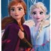 Disney Frozen Frozen 2- Gordelbeschermer -Babyproducten 434x1200