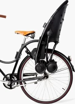 Påhoj Fietsstoeltje En Buggy In één