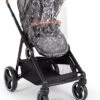 Baninni Duo Kinderwagen Luiz Regenhoes